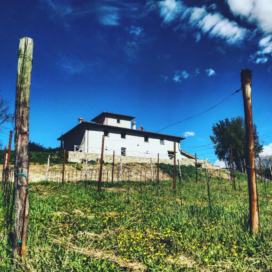 La valle B&B Cavriglia Esterno foto